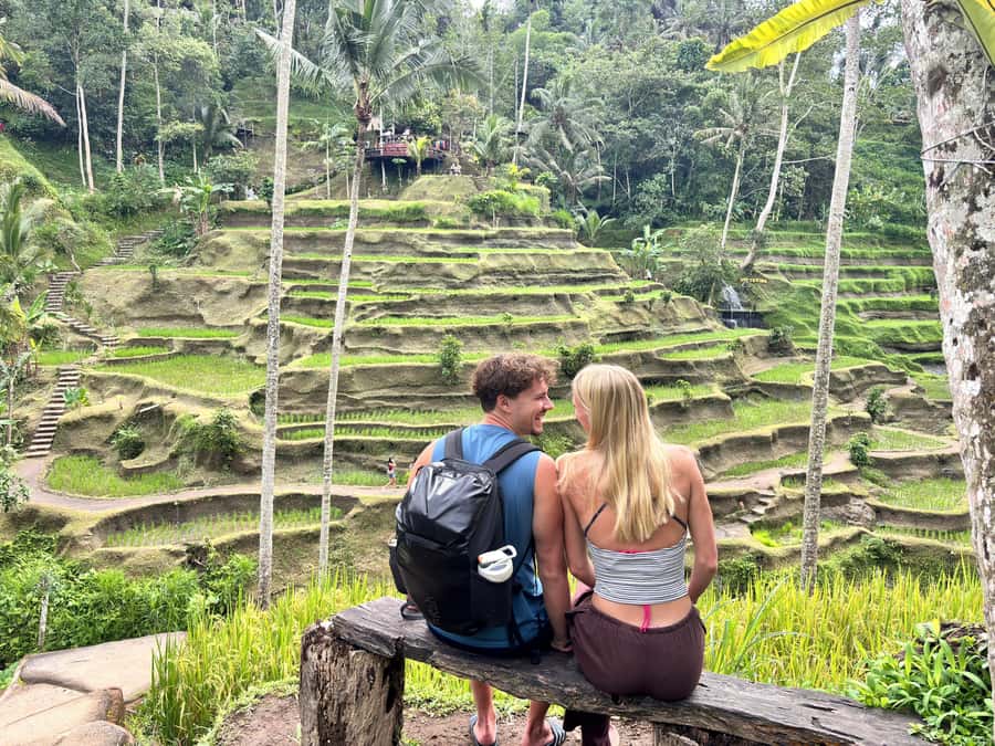 Ubud: Waterfalls, Water Temple & Rice Terraces Private Tour - Tegalalang’s terraces and optional thrills