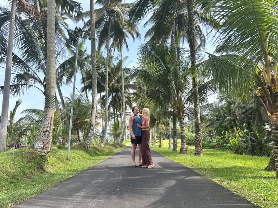 Ubud: Waterfalls, Water Temple & Rice Terraces Private Tour - Getting around in a private car