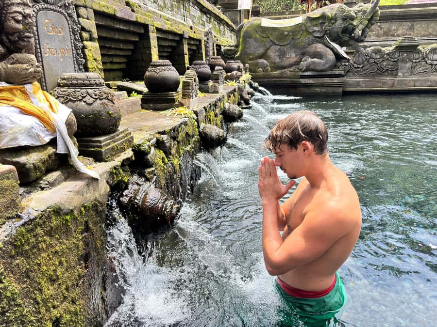 Ubud: Waterfalls, Water Temple & Rice Terraces Private Tour - Who should book this experience