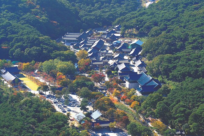 UNESCO Tongdosa Temple + Gourmet Eonyang Style Bulgogi Lunch - What the guide adds to the experience