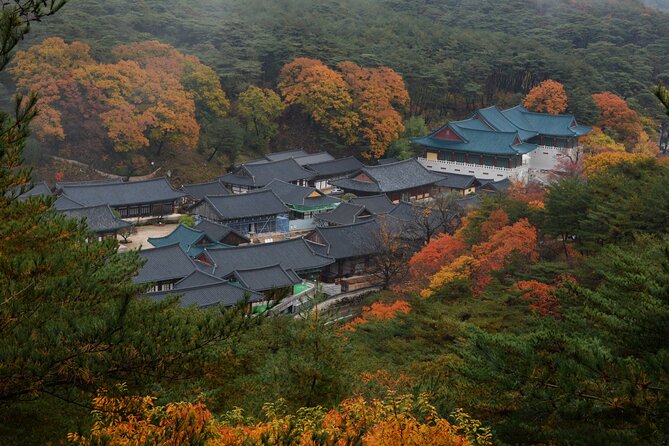 UNESCO Tongdosa Temple + Gourmet Eonyang Style Bulgogi Lunch - Is $212 good value from Busan?