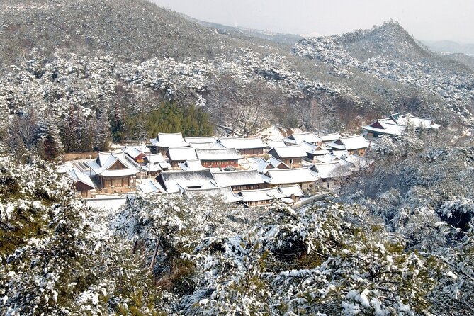 UNESCO Tongdosa Temple + Gourmet Eonyang Style Bulgogi Lunch - Who should choose this private half-day trip?