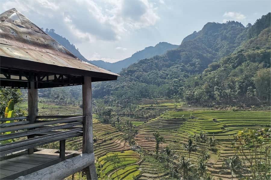 Yogyakarta: Selogriyo Temple, Rice Terraces & Waterfall Tour - Key points to know before booking