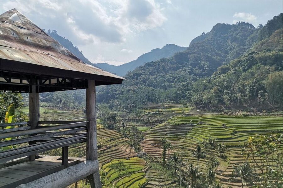 Yogyakarta: Selogriyo Temple, Rice Terraces & Waterfall Tour - A coffee stop among the fields