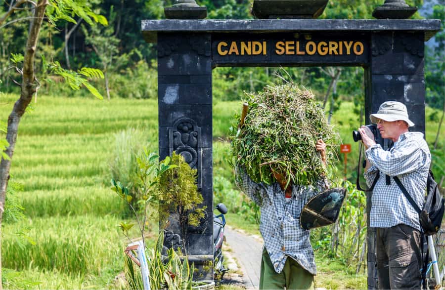 Yogyakarta: Selogriyo Temple Tour & Java Rice Terrace Trek - Who will enjoy this day most