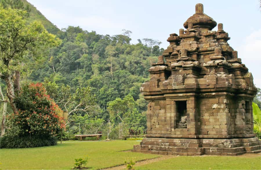 Yogyakarta: Selogriyo Temple Tour & Java Rice Terrace Trek - Practical preparation for a smoother walk